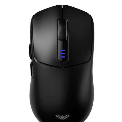 Version 1.0.0 Mouse 1