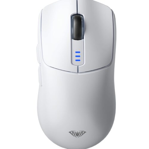 Version 1.0.0 Mouse 2