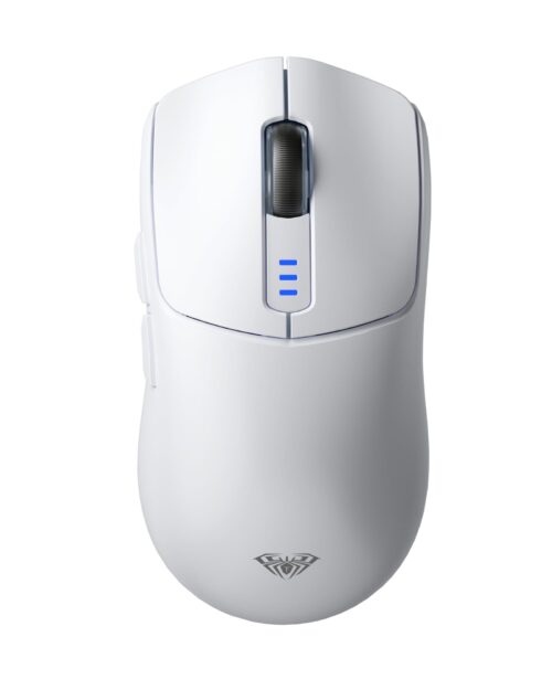 Mouse 2